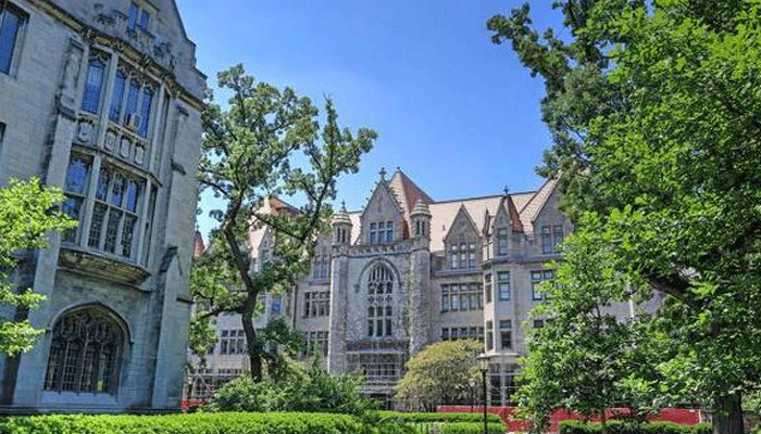 系统化课程体系与前沿技术